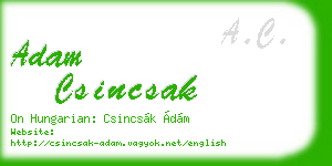 adam csincsak business card